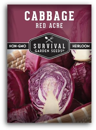 Red Acre Cabbage Seeds for Planting – Heirloom Purple Variety with Compact Heads, Early Harvest & Reliable Yields, Non-GMO, Open-Pollinated - Survival Garden Seeds (1 Pack)