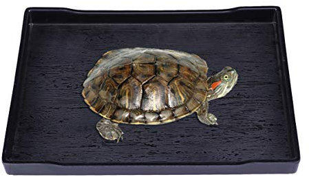 COLLBATH Großer Reptilien-futternapf Und Wassernapf Für Landschildkröten Flache Bade Trinkschale Schwarz Mit Naturgetreuer Holzmaserung Kippsicher Und Unzerbrechlich Für Terrariengebrauch