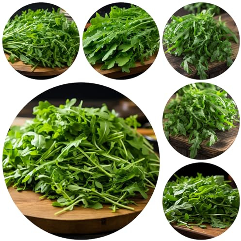 semi di rucola resistente - balcone decorazione da giardino esterni 800pcs
