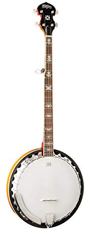 Washburn Americana Series B10-A 5-string Banjo Gloss Sunburst
