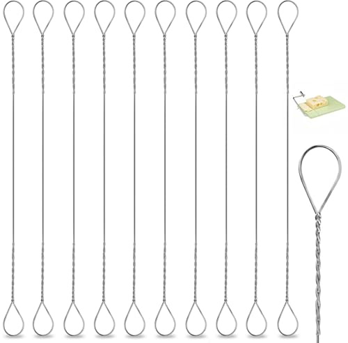 Bremorou 10 Pcs Cheese Wire Cutter, 5.7 Inch Long Stainless Steel Cheese Wire Replacement, Cheeses Slicer Wires for Cutting Cheeses and Butter Chunks Silver Women Mother Kitchen Tool
