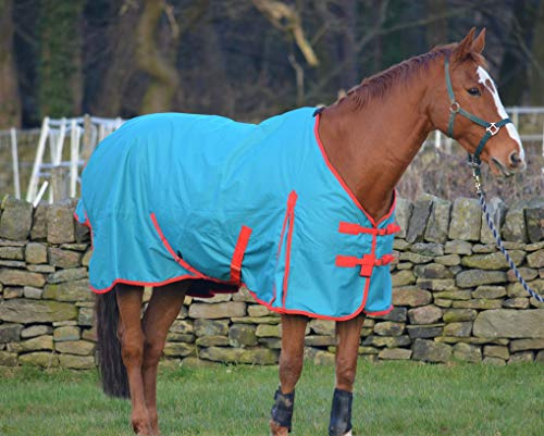 Turners Couverture légère et imperméable pour chevaux et poneys Shetland 100 g