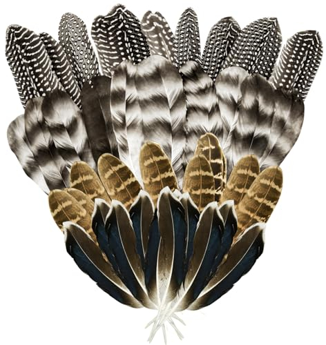 CANIPHA 40 Stück Truthahnfedern zum Basteln, natürliche Fasanenfedern, Hutfedern, 4 Stile, gemischte Bastelfedern, Gepunktete Federn für Blumenarrangements, DIY, Hochzeit, Party, Bastelbedarf