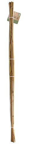 FORNOR 16919 Tuteur Plantes de Bambou X10 - Diam 0,8-1,2 x 150 cm