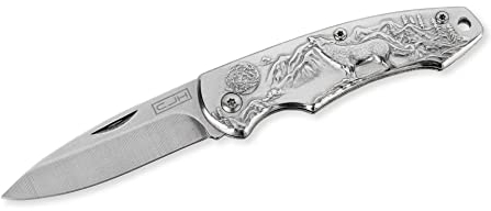 CJH Taschenmesser, AISI 420 Stahl, rostfrei Stahlgriff silber, Fangriemenöse, scharfes Klappmesser & Outdoor-Messer für Camping, Wandern oder Jagd