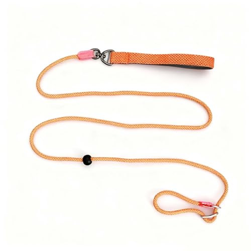 Rieoany Laisse Chien Anti Traction 180 cm x 6 mm, Laisse Lasso pour Chiens Petits, Moyens et Grands, Longe pour Chien Réglable, Souple et Résistante