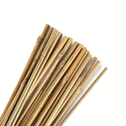 Control Garden Lot de 30 tuteurs en bambou écologique de 90 cm | Piquet naturel pour soutenir les plantes Ø 6-8 | Tiges arbres, légumes, vignes et cultures