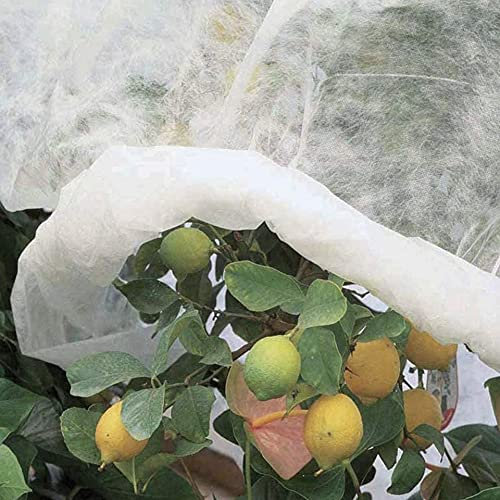 Todo Cultivo Manta térmica Tejido de protección Invernal para heladas.48 M2. (2,4x10) X2UDS para Planta de Huerta o arboles