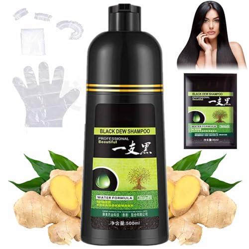 CLOUDEMO Yaguan Black Dew Shampoo, 500ml Yaguan Brown Dew Shampoo, Yaguan Black Dew Shampoo, 3 in 1 Yaguan Herbal Shampoo Hair Dye, Herbal Hair Coloring Shampoo (Black)