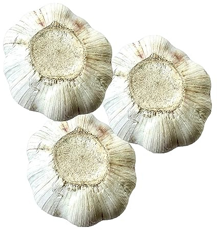 Fresh Himalayas Natural Garlic Whole Bulb (Our Zade Elaphant Is not a Elephant Ear Size) Fresh 3 Bulb Garlic for Spices, Health Benefits & Planting - Product of USA