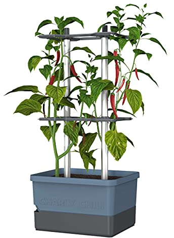 GUSTA GARDEN Charly Chili Chilitopf - Pflanzentopf mit Rankhilfe, Bewässerungssystem & Robustem Rahmen (Blau, Regular)