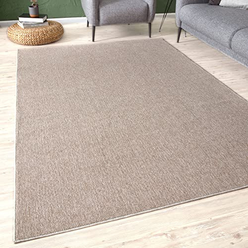 THE RUGS Low Pile Area Rugs – Modern Indoor Rugs for Living Room, Bedroom, Dining Room, Entryway – Non-Shedding (Beige, 80x150 cm)