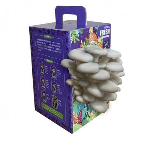 JOIYSVEN Pilze Züchten Set.Holen Sie Sich Einen Miniaturwald Auf Den Esstisch.pilzzuchtset.Eine Naturerlebnisbox Für Eltern Und Kinder Eine Pilzförmige Box, Die Sich Aufklappen Lässt (Weiß)