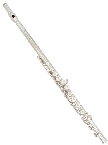 Querflöte Instrument C-Flöte Mit 16 Geschlossenen Und Offenen Löchern, Kupfernickel-versilberte Konzert-Querflöte Mit E-Klappe Und Box