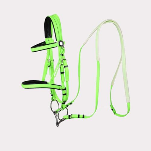 Western Horse Bridle - Headstall for Horses with Padding - Durable Hobby Bridle Western with Snaffle Bit(green)