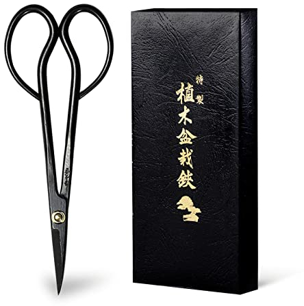 Wazakura Ciseaux Japonais pour Taille Bonsaï Satsuki 180mm - Sécateur de Jardinage et Arrangements Floraux Fabriqué au Japon Noir Satsuki