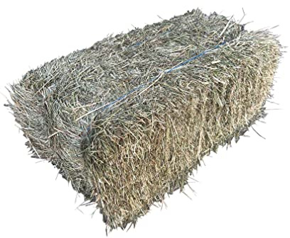 18-20 Kg 1.Schnitt Wiesenheu Heu 20kg Heuballen Kaninchen Meerschweinchen Chinchilla Degu Hamster Schaf Ziege Pferd etc.