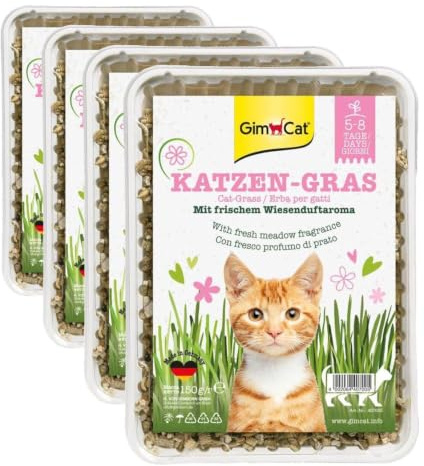 GimCat Hierba para Gatos 150 g - Hierba para Gatos con cría rápida en sólo 5 a 8 días - 1 Cuenco (1 x 150 g) (Paquete de 4)