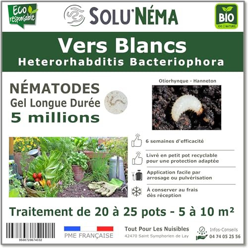 SOLUNEMA - 5 millions de Nématodes HB Contre Les Vers Blancs, larves d'Hanneton et larves d'Otiorhynques - Formulation Gel Longue Durée pour traiter jusqu'à 25 pots ou de 5 à 10 m² - Traitement bio