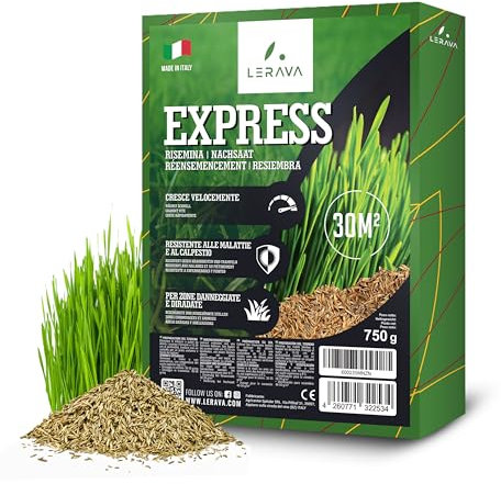 LERAVA® EXPRESS Rasensamen schnellkeimend frühjahr (30m²) - Premium Samen für Trockenrasen & Schattenrasen - Rasensamen nachsaat für lückenlosen Rasen - Grassamen schnellkeimend - Rasensaat turbo -