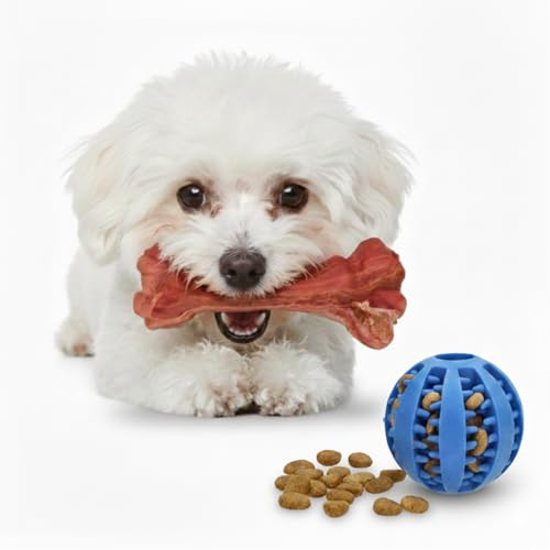 CE EVI Mordedor Perro Pequeño Hueso Goma 15 cm y Pelota 6,5 cm Rellenable