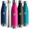 Vikaster thermoskanne 0.75L, Auslaufsicher thermos 750ml, BPA-Frei Wiederverwendbar thermoskanne, trinkflasche edelstahl für Camping, Yoga, Gym, Fitness, Reisen, Outdoor