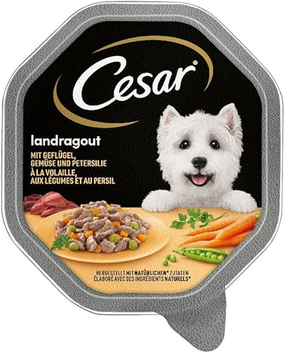 Cesar Landragout Nassfutter für ausgewachsene Hunde mit Geflügel und Gemüse, Schale 6 x 150g