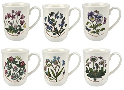 Botanic Garden - Juego de 6 vasos de tulipán