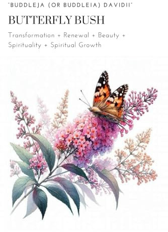 Butterfly Bush Journal: Plant Symbolism