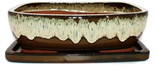Bonsai-Schale mit Unterteller Gr. 6 - Braun-Beige - rechteckig - Modell GB5 - L 37cm - B 28cm - H 10cm