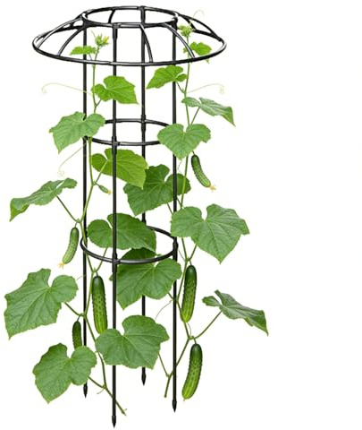 Qoukonao Griglia da Giardino per Piante Rampicanti,Supporto Verticale per Viti Antiruggine e Stabile - Traliccio a Ombrello con Struttura a Gabbia | per Vite Rosa Ortaggi Cetriolo Ortensie Pothos
