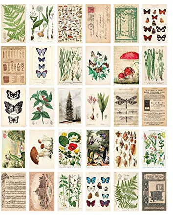 Wintertime Crafts Vintage Collection Postcard Set: Pack of 30 Retro Style Botanical, Nature and Ephemera Postcards