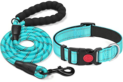haapaw reflektierendes Hundehalsband gepolstert mit weichem Neopren atmungsaktiv einstellbar Nylon Hundehalsbänder für kleine mittlere große Hunde