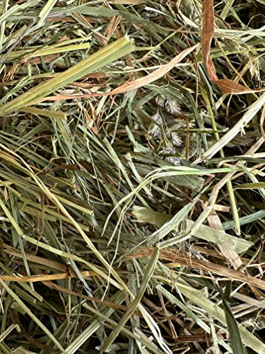 Heu á 10kg für Meerschweinchen und Kaninchen * Aktion * 2. Schnitt Soft * Warmluft getrocknet