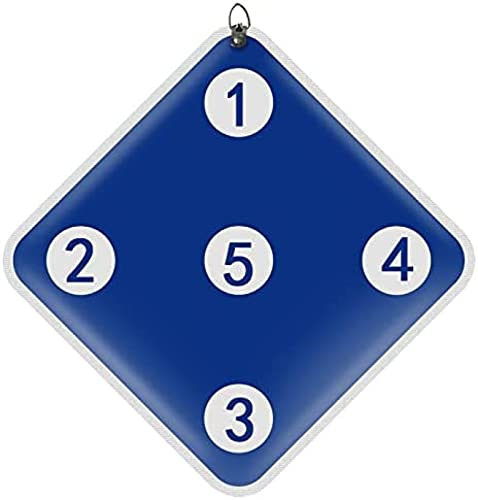 Equipo de Entrenamiento de esgrima, Objetivo de esgrima para lámina de Sable y Espada con Cinco Diana, Objetivo de Espada Auxiliar de autoentrenamiento, Equipo de esgrima para el hogar para