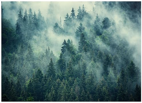WallArena - Vlies Fototapete Wald Nebel Landschaft 400x280 cm - Fototapeten - Tapeten - für Wohnzimmer Schlafzimmer - Vliestapete Wandtapete Tapete 3D Effekt- inkl. Kleister - Berge Gebirge