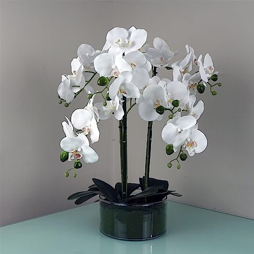 Leaf Design UK Realistic Artificial Orchid Flower Display in Pot