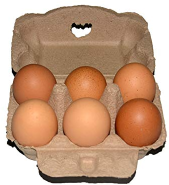 Carton pour 6 œufs - 5/10/20 pièces en carton biodégradable recyclé, grand récipient vide pour œufs frais, convient pour la cuisine, la ferme, l'épicerie