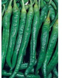 PEPERONE LUNGO DI BERGAMO NR.200 SEMI