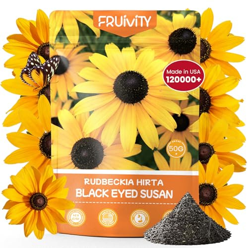 Fruivity 120,000+ Black Eyed Susan Seeds for Planting, Perennial Wildflower Seeds for Pollinator Gardens, Non-GMO Heirloom Flower Seeds to Plant Outside & Inside, Borders, Containers, Rudbeckia hirta