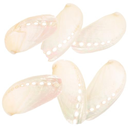 ABOOFAN Décoration en Coquille D'ormeau 6 Pièces Style Plage Beige en Coquillage Naturel pour Aquarium et Mariage Ambiance Nautique
