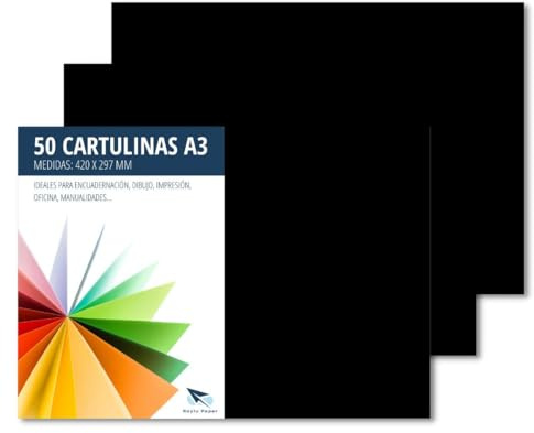 Raylu Paper – Papier Cartonné A3 Coloré, 50 Feuilles Cartonnées, Papier Epais de Couleur, pour l’Ecole, le Bureau, le Scrapbooking, les Activités Manuelles, 297 x 420 mm 180g/m² (Noir)