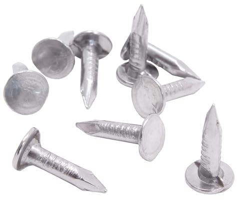 DAPRONA 2,5kg Clous feutre toiture argent 20mm, pour bardeaux, feutre toiture