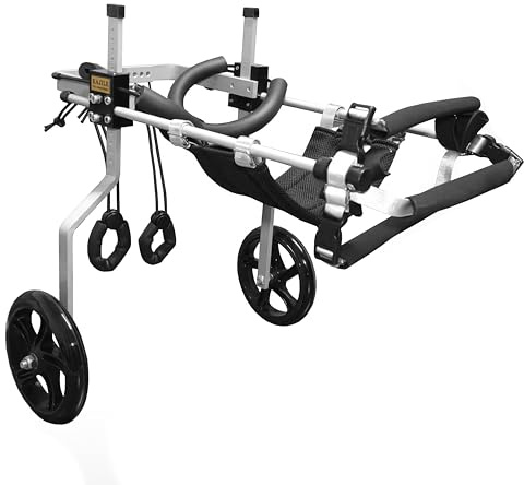 KAJILE Justerbar 2-hjuls hundvagn, XL-2 storlek för rehabilitering av funktionshindrade Hund Bakben, passform Höjd 50-65cm, bredd 21-28cm, längd 30-40cm