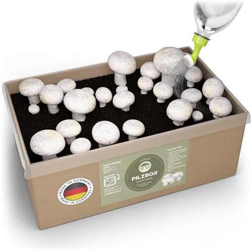 Hiwago weiße Champignon Pilzbox zum Pilze züchten für Zuhause – Komplettset für weiße Champignons, Pilzbrut zum Züchten für zuhause - Mushroom Grow kit mit Myzel & Gießkannenaufsatz Gr. M