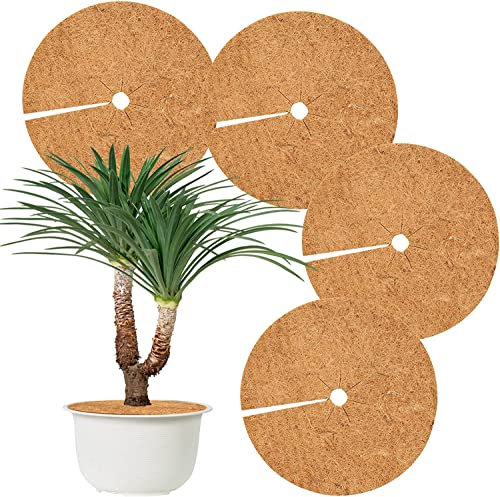 Hydrogarden Lot de 4 disques de paillage en Coco - Protection hivernale pour Plantes en Pot - Protection Contre Les Mauvaises Herbes - 60 cm