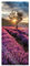 Pixxprint Glasbild Panorama, Wandbild aus Echtglas, Lavendel Provence mit Baum, 100x40 cm, inkl. Aufhängung und Abstandshalter