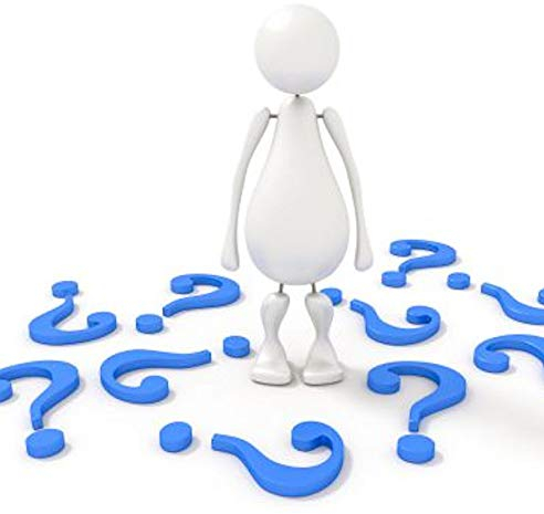 Zwerg Hänge Sommerflieder Little Ruby 40-60cm - Buddleja