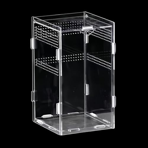 Mini Caja de Terrario Reptiles,Reptil Acrílico Transparente Terrarios,Caja de Alimentación de Insectos para Araña,Rana,Escorpión,Caracol,Lagarto,Transparencia con Poros Vacíos ((12 x 12 x 20cm))