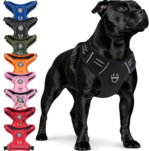 Reichstadt Pets Anti-dragande hundsele för små hundar 25RSP083 svart S | Justerbar och vadderad sele med handtag, reflekterande insatser och andningsbart tyg för säkra promenader